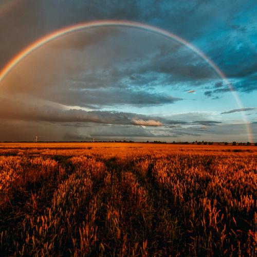 What a Wonderful World!