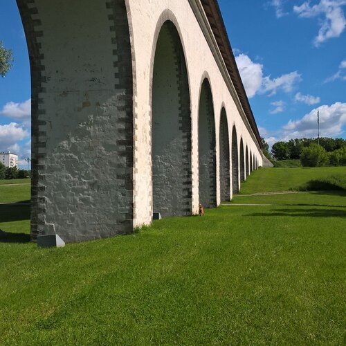 Photo #2221254