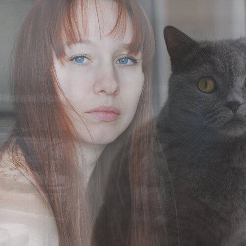 Кошка и ее хозяйка