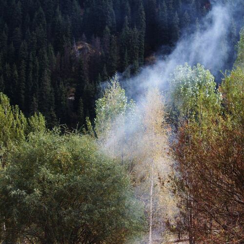 Photo #2222249