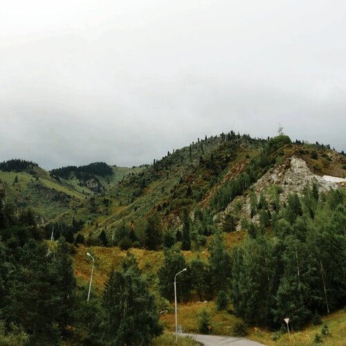 Photo #2222258