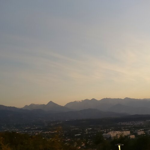 Photo #2222259