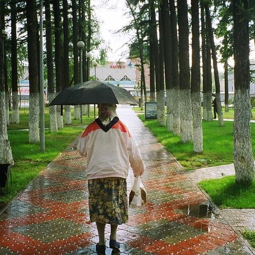 Летний дождь в городе