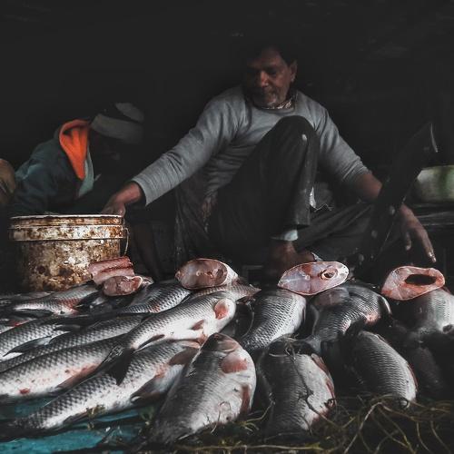 Fisher man