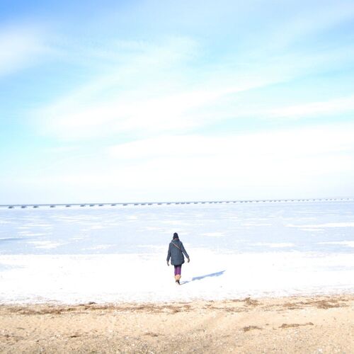 Photo #2222844