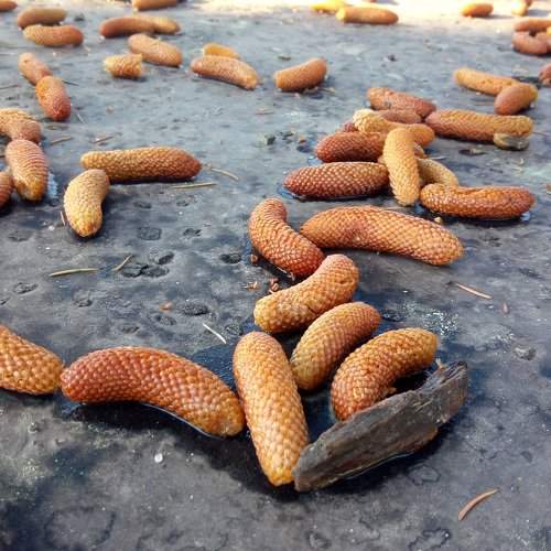 Photo #2223025