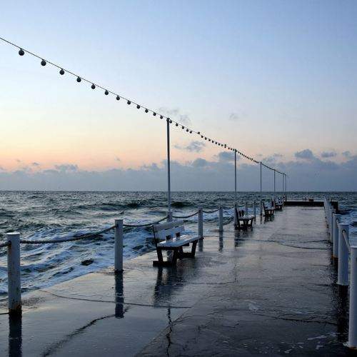 Photo #2223680