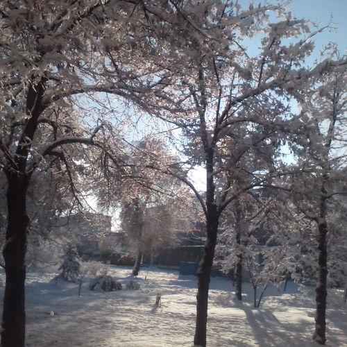 зима