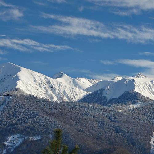 Красавица