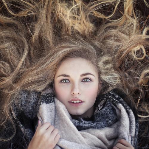 Photo #2227454