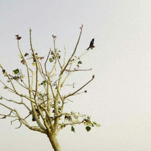 alone