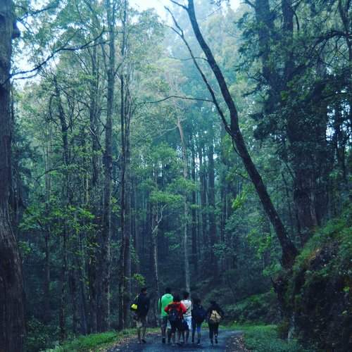 Horton Plains- Ohiya #Srilanka