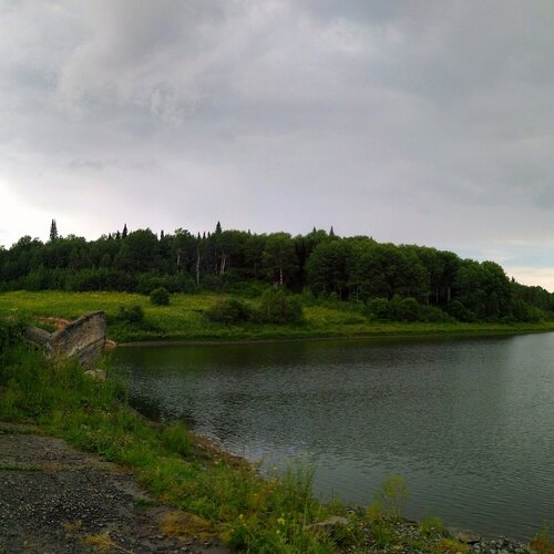 Река и лес