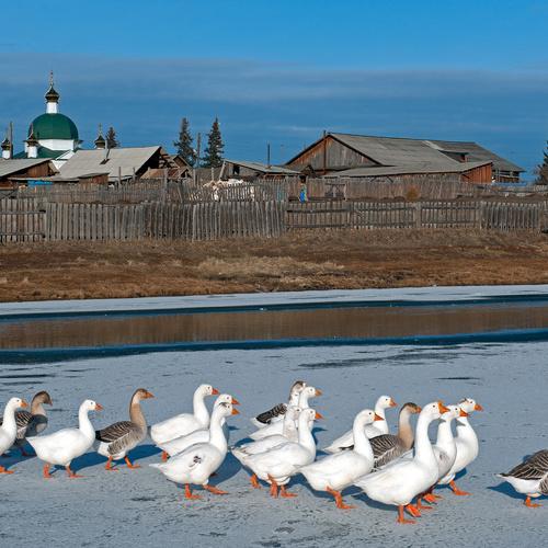Под солнцем ноября