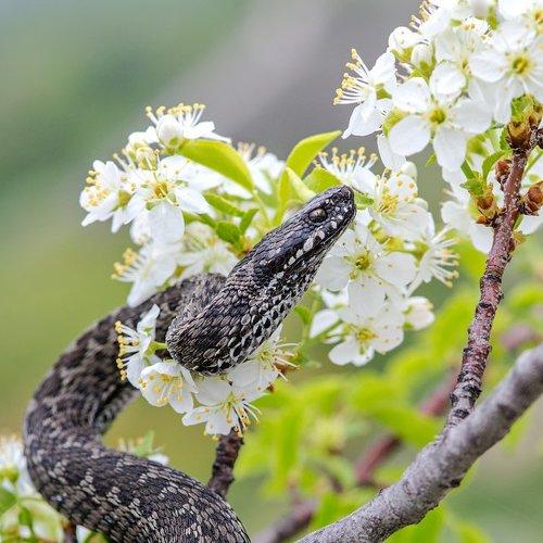 Photo #2229067