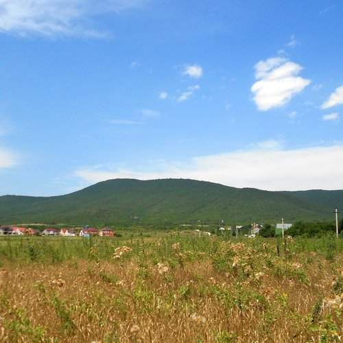 Photo #2230722