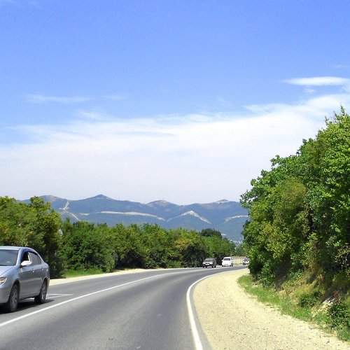 Photo #2230735