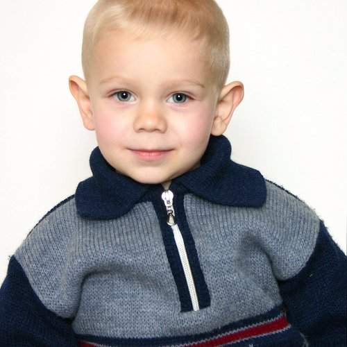 Photo #2231070