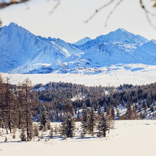 Курайский хребет