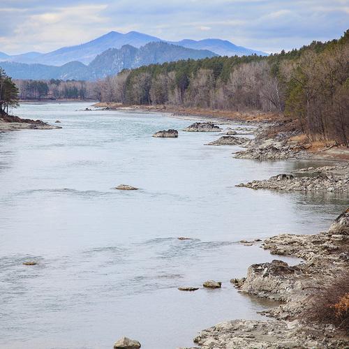 Катунь с видом на горы