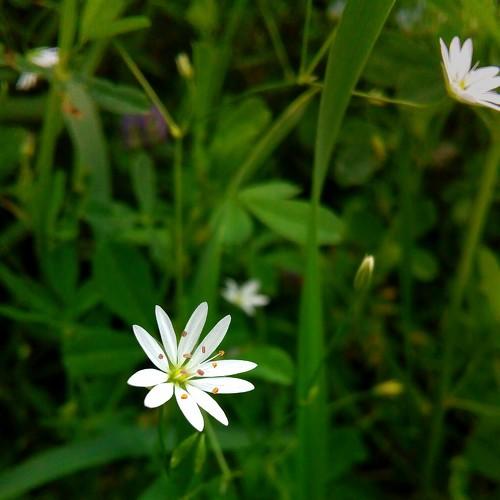 Photo #2232298