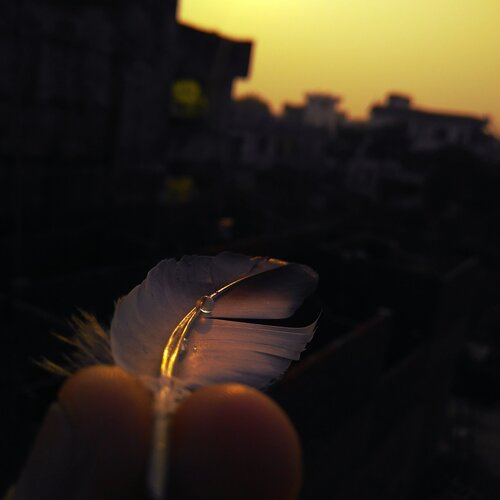 Feather droplets