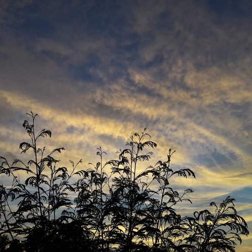 nature the power