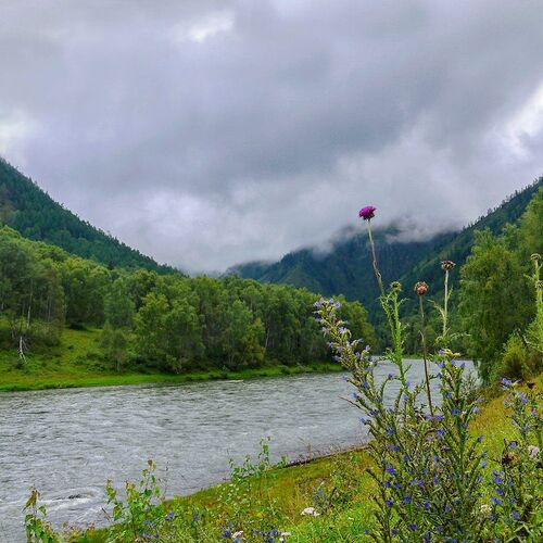 Лето на реке Кокса