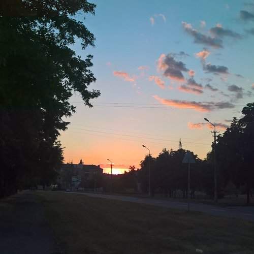 Photo #2234787