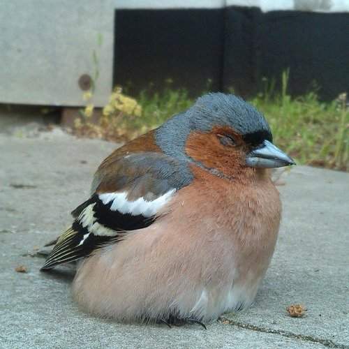 Photo #2235837