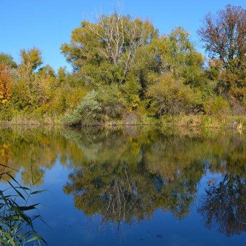 Photo #2236249
