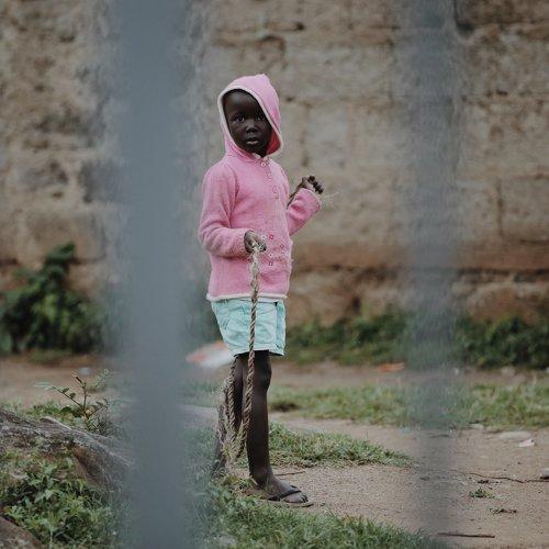 Photo #2236290