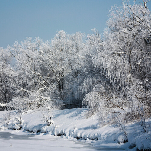 Winter day
