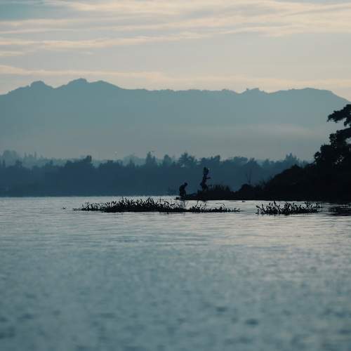 Photo #2236488
