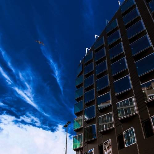 Photo #2236850