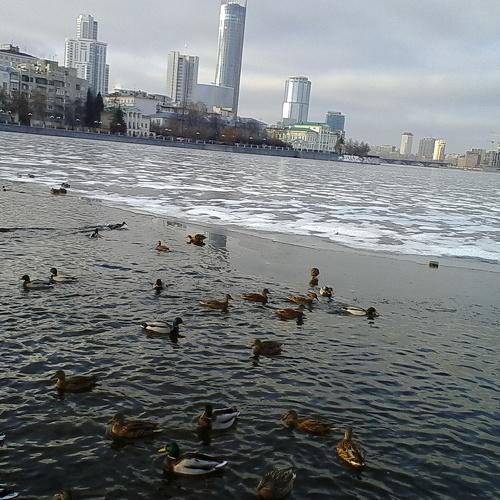 Photo #2237641