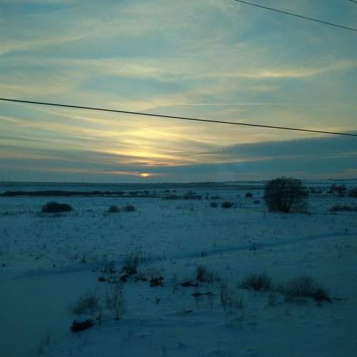 Photo #2238014