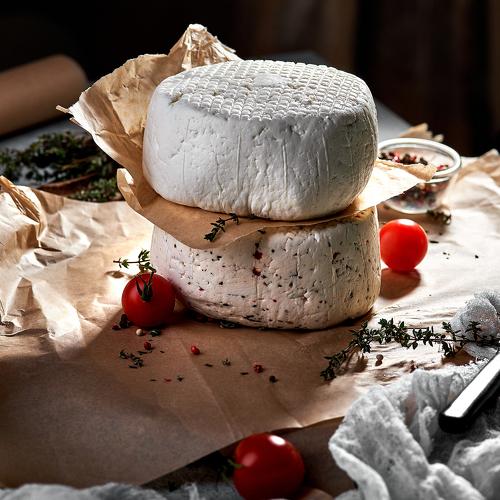 Cheese still life