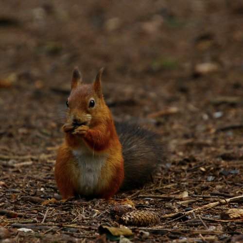 Photo #2238781