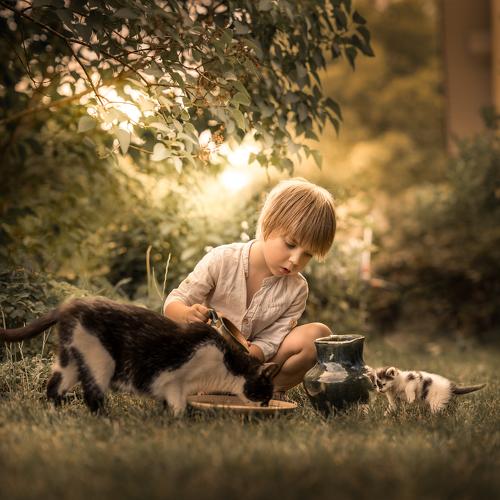Adam and the cats