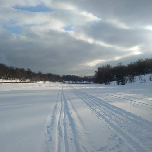 Photo #2240163
