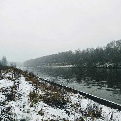 Photo #2240175