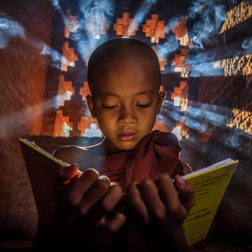 Reading Novice