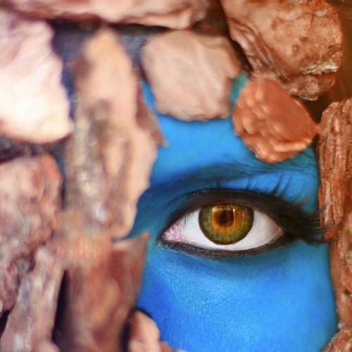 Photo #2240845