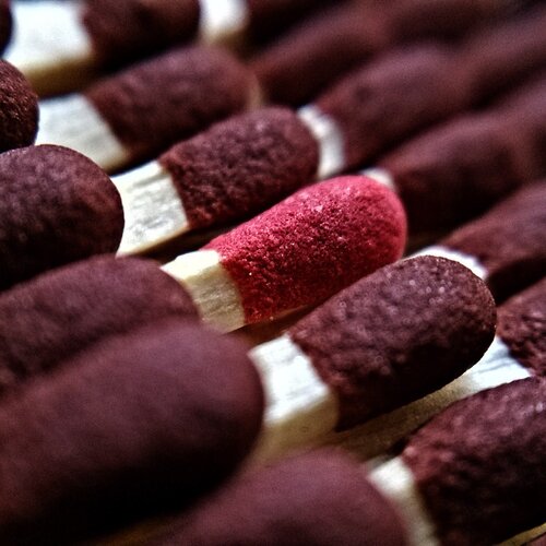 Photo #2240925