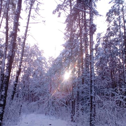 Светло зимы