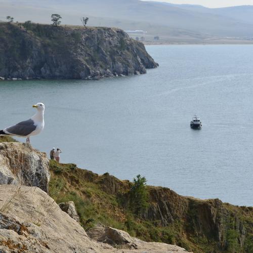 Photo #2242148