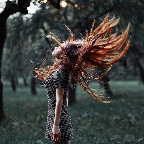 Фотография #2242811