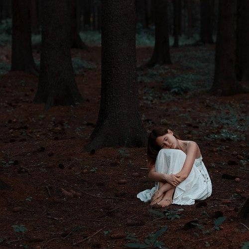 Фотография #2242854