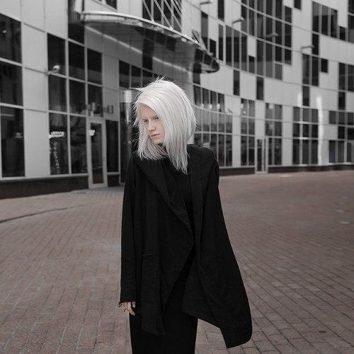 Фотография #2242859